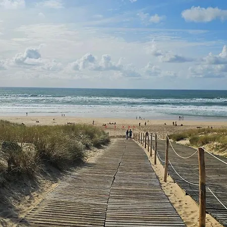 Bienvenue Au Cap Ferret Lège-Cap-Ferret